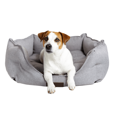 Dog-Food