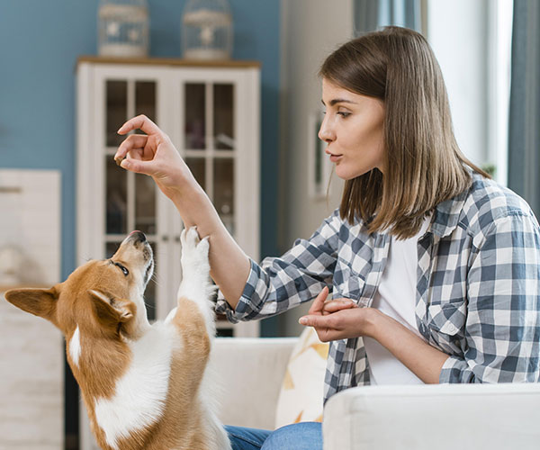 MAn-With dog